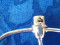 Foto  - 8