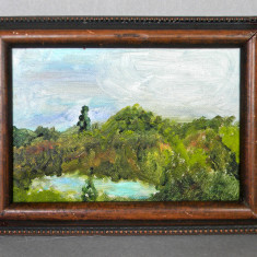 Peisaj - Miniatura originala pictura ulei pe carton panzat, nesemnata, 18x13,5cm