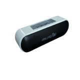 Boxa portabila bluetooth WS-2513BT, radio FM