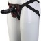 Strap-on Negru Blaze Deluxe
