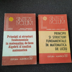 Principii si structuri fundamentale in matematica de liceu.2 VOLUME A.LEONTE