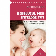 Bebelusul meu intelege tot, Aletha Solter