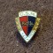 Insigna fotbal - CSM RESITA (Aniversare 1923 - 1983) - varianta 2 (sistem prindere tip brosa)