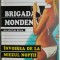 Invoirea de la miezul noptii &ndash; Michel Brice