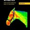Equine Thermography in Practice
