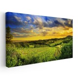 Tablou peisaj podgorie la apus Tablou canvas pe panza CU RAMA 70x140 cm