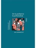 De la pediatrie la psihanaliza/D.W. Winnicott