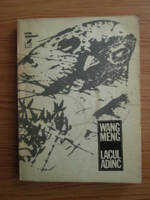 Wang Meng - Lacul adanc foto