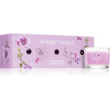 Cumpara ieftin Yankee Candle Wild Orchid set cadou