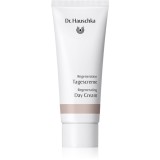 Dr. Hauschka Regeneration crema de zi regeneratoare pentru ten matur 40 ml