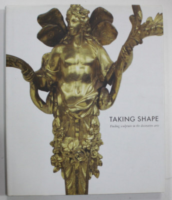 TAKING SHAPE , FINDING SCULPTURE IN THE DECORATIVE ARTS by MARTINA DROTH , 2009 foto