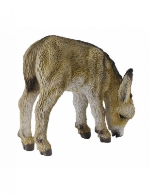 Manz la pascut - Collecta foto