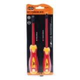 Set 10 Surubelnite EVOX Beta, Phillips si Plate, Scule de Mana Profesionale