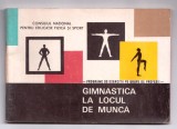 gimnastica la locul de munca programe de exercitii pe grupe de profesii