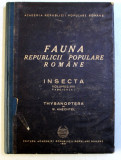 FAUNA REPUBLICII SOCIALISTE ROMANE, INSECTA, VOL. VIII, FAS. 1: THYSANOPTERA de W. KNECHTEL 1951