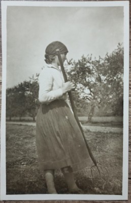 Taranca cu furca, la munca campului, Jibou, Salaj// fotografie interbelica foto