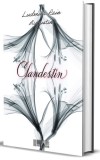 Clandestin - Marin Malaicu-Hondrari