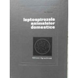 LEPTOSPIROZELE ANIMALELOR DOMESTICE-ION BERCEA-230616