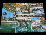 QW24 C - Carte postala - tematica turism - vedere - Constanta 1, Necirculata, Fotografie
