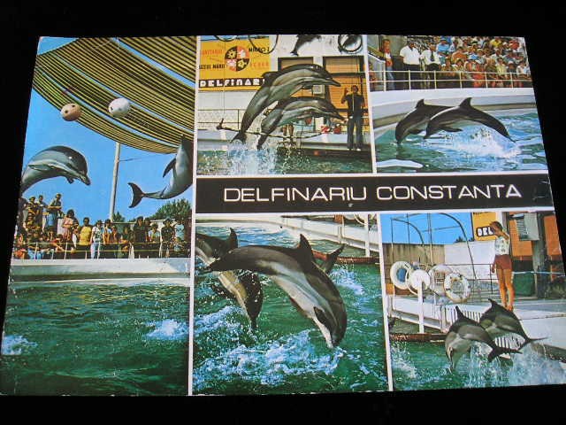 QW24 C - Carte postala - tematica turism - vedere - Constanta 1