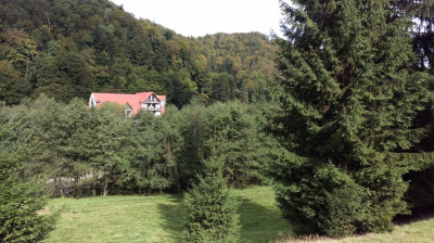 V&amp;acirc;nd teren intravilan in Timișul de Jos, localitatea Săcele, Brașov. foto