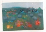 FA127 -Carte Postala- ITALIA - Bacosi, Paesaggio, necirculata