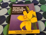 Expert &icirc;n cultivarea florilor