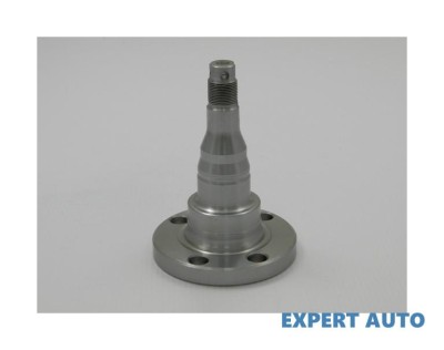 Butuc roata spate fara rulment Seat Toledo I (1991-1999)[1L] #1 foto
