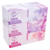 șervețele, Fiorevita, 2 Straturi, Set 3 Buc, Multicolor, Oem