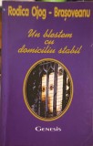 UN BLESTEM CU DOMICILIU STABIL-RODICA OJOG-BRASOVEANU-354738