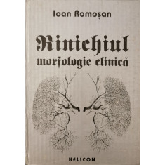 Rinichiul: morfologie clinica - Ioan Romosan