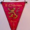 Fanion (rar si vechi) fotbal - FC ZAHRINGIA BERNA (Elvetia) 1910/1960