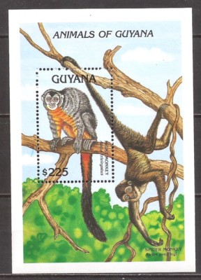 GUYANA 1992 FAUNA MAIMUTE ( colita dantelata ) MNH foto