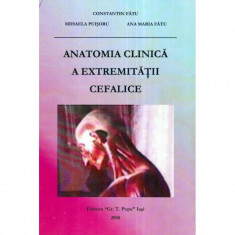 Anatomia clinica a extremitatii cefalice foto