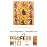 Vechiul Testament in talcuirea Sfintilor Parinti. Profetii Mici - Pr. Ioan Sorin Usca