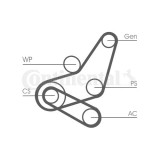Continental Ctam Set curea transmisie cu caneluri