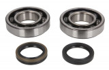 Crankshaft bearings set with gaskets fits: SUZUKI RM-Z 250 2010-2020, Athena