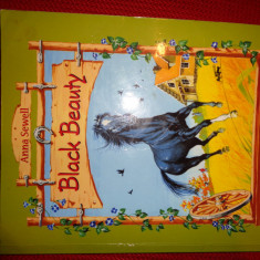 black beauty - anna sewell / carte pentru copii
