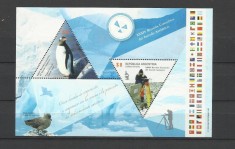 ARGENTINA 2011 ANTARCTICA FAUNA PINGUINI PASARI foto