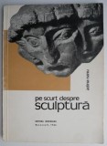 Pe scurt despre sculptura &ndash; Adina Nanu (Putin uzata)