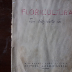 FLORICULTURA a. chilitiu si altii