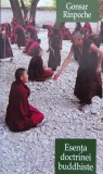 Esenta Doctrinei Buddhiste - Gonsar Rinpoche , H210