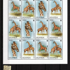 Uganda, 1997 | Girafa Rothschild - Animale protejate - WWF | M/S - MNH | aph