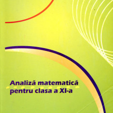 Analiza matematica pentru clasa a XI-a - Ion Chitescu