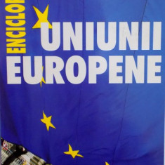 ENCICLOPEDIA UNIUNII EUROPENE de LUCIANA - ALEXANDRA GHICA, 2005