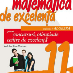Matematică de excelență. Pentru concursuri, olimpiade și centrele de excelență. Clasa a XI-a. Vol. 1 Algebră - Paperback brosat - Dana Heuberger, Vasi
