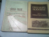 DRUMURI MODERNE - AUREL VLAD 2 VOLUME