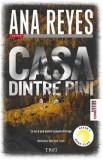 Casa dintre pini. Ce nu-ti poti aminti te poate distruge - Ana Reyes