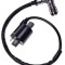 Bobina inductie atv 150-200-250cc, Rival Store