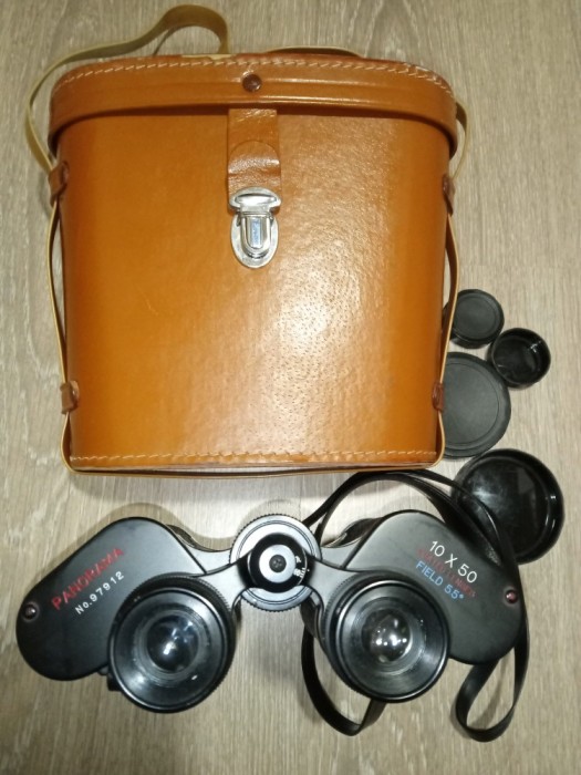 binoclu panorama 10x50